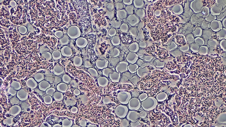 Photo โซล่าเซลล์