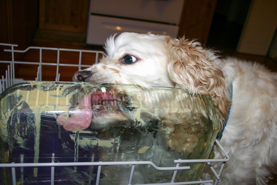 dishwasher