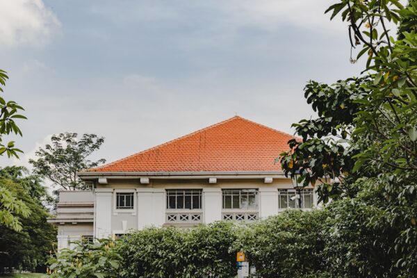 Photo Roofing