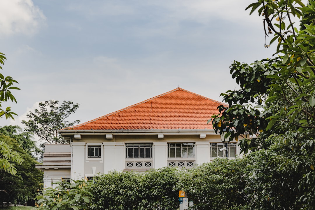 Photo Roofing