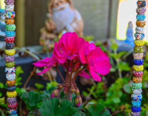 Photo Planter