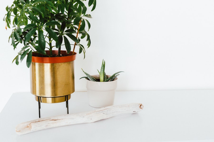 Photo Planter