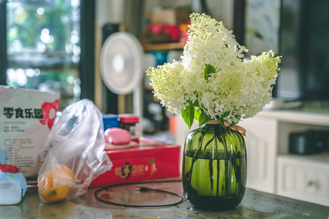 Photo Air purifier DIY