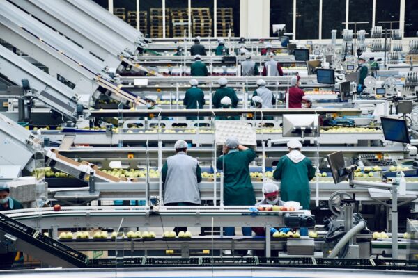 Photo factory operations