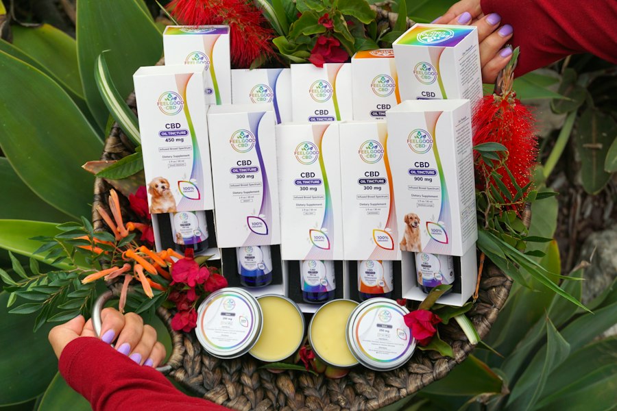 Photo lifestyle products variety